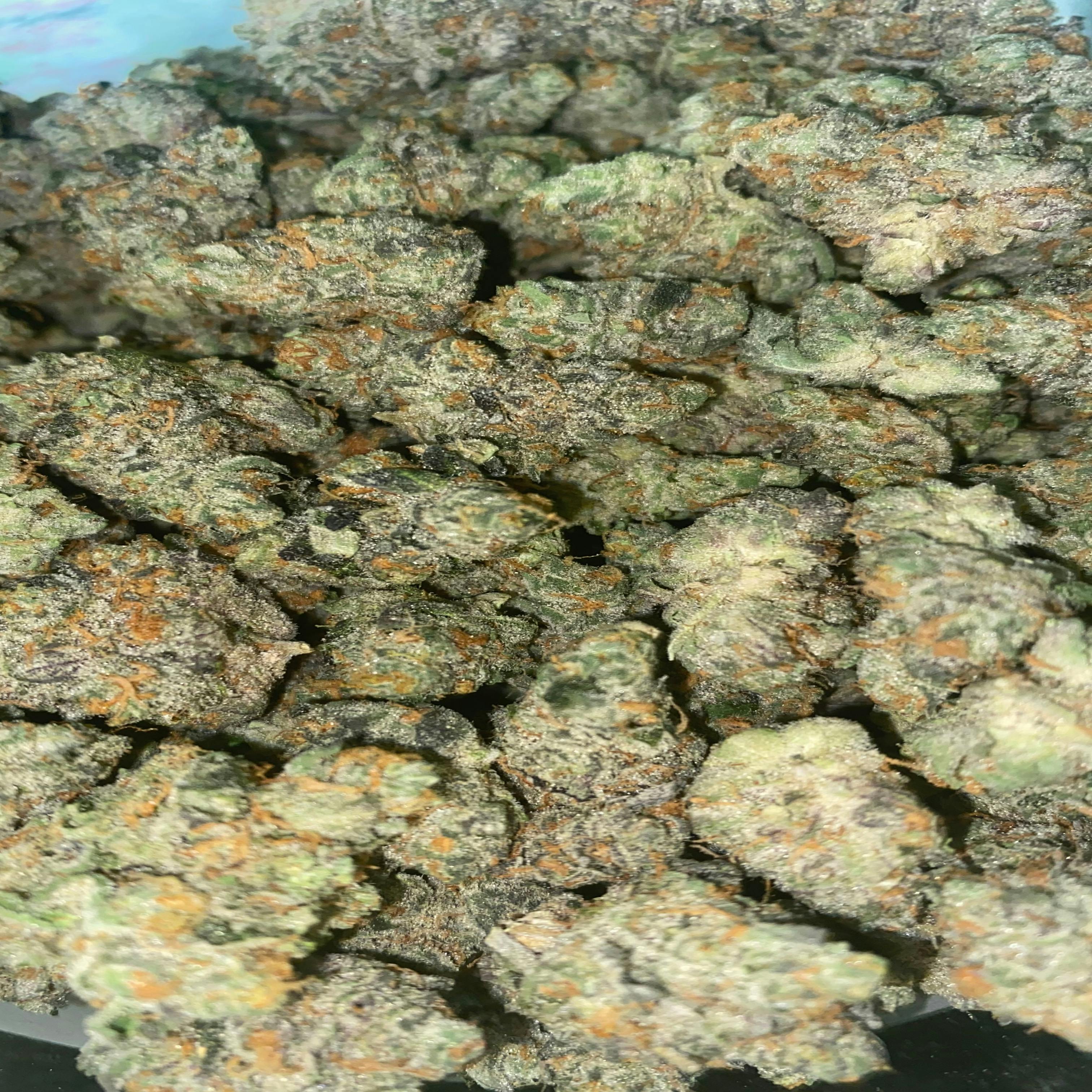 (REC) Chocolate Frosted Sherb